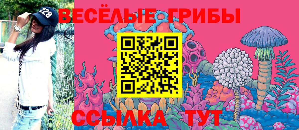 Алушта  Псилоцибиновые грибы MAGIC MUSHROOMS  Вход с VPN  Псилоцибиновые грибы MAGIC MUSHROOMS 